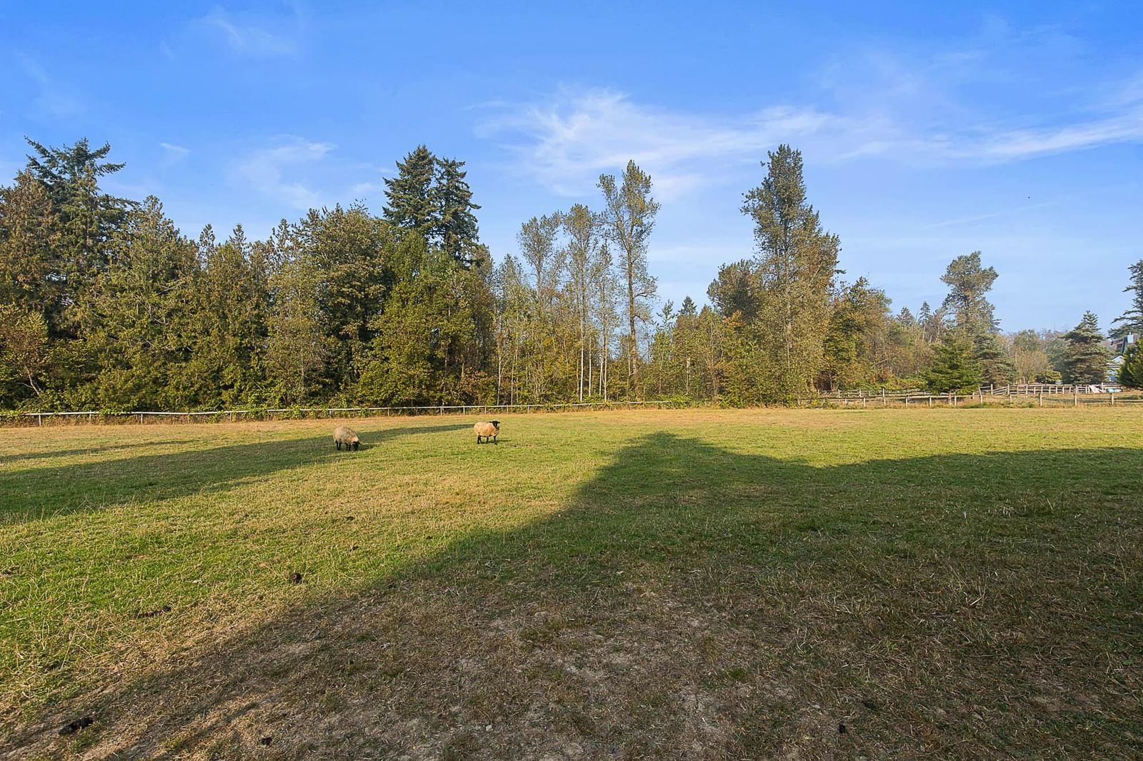 Listing Image 24