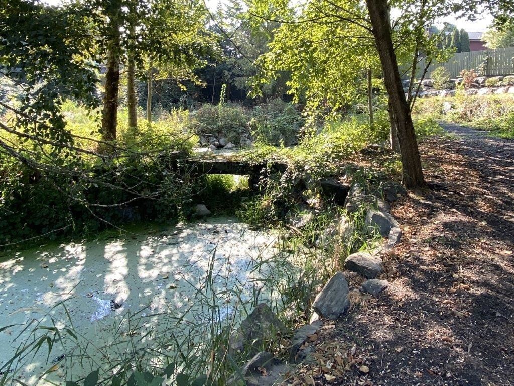 Listing Image 33