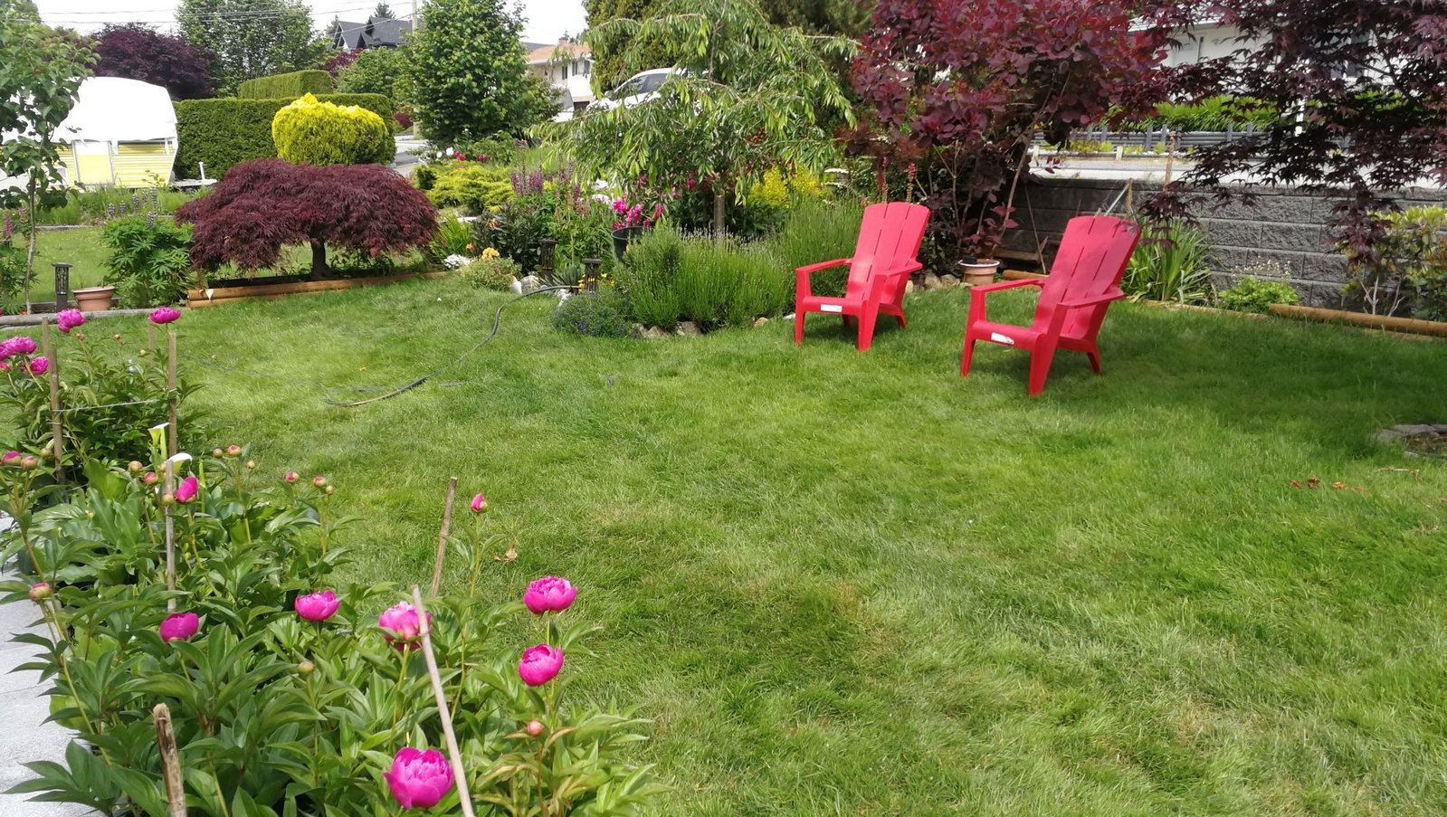 Listing Image 36