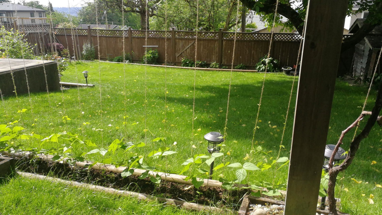 Listing Image 37