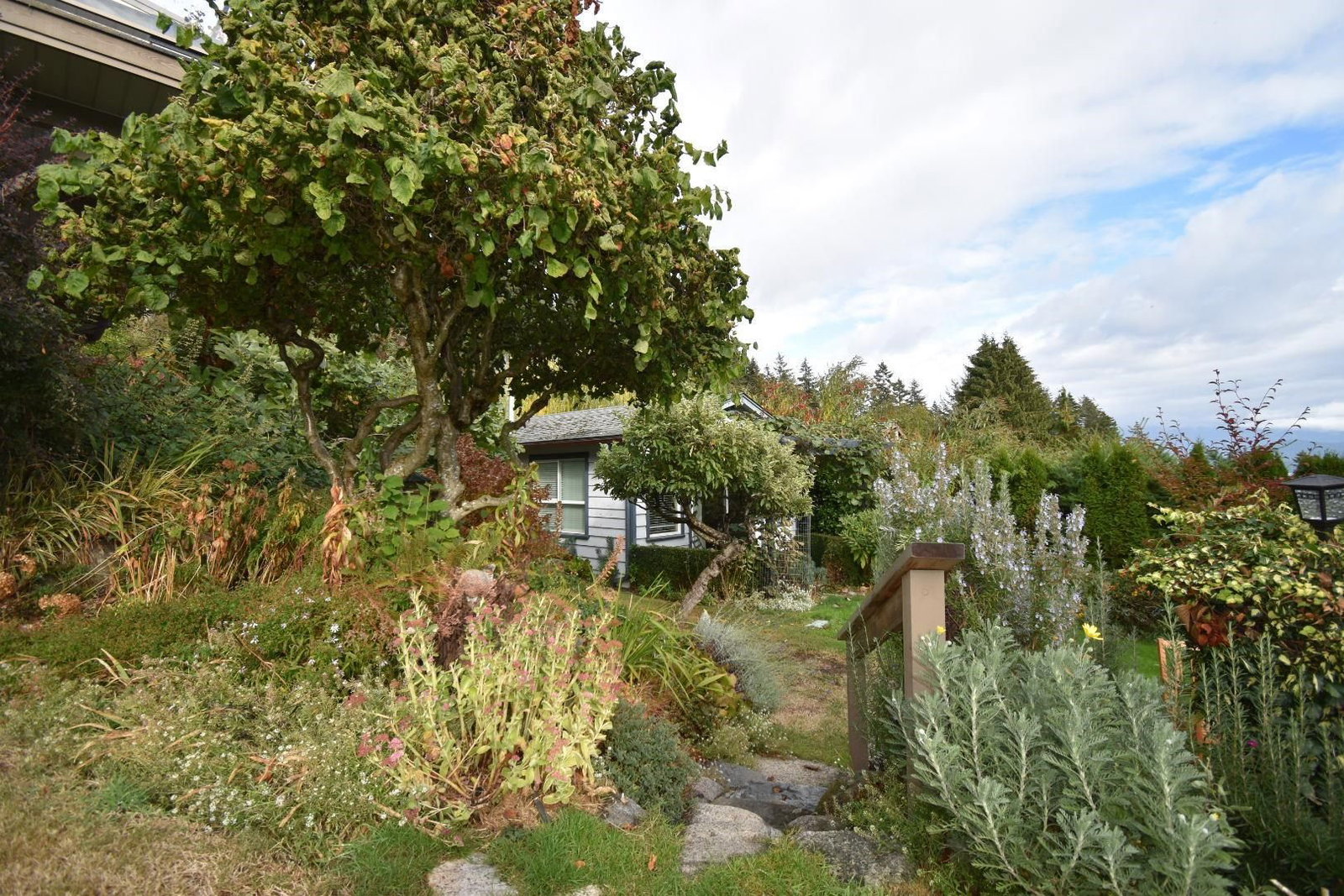 Listing Image 29
