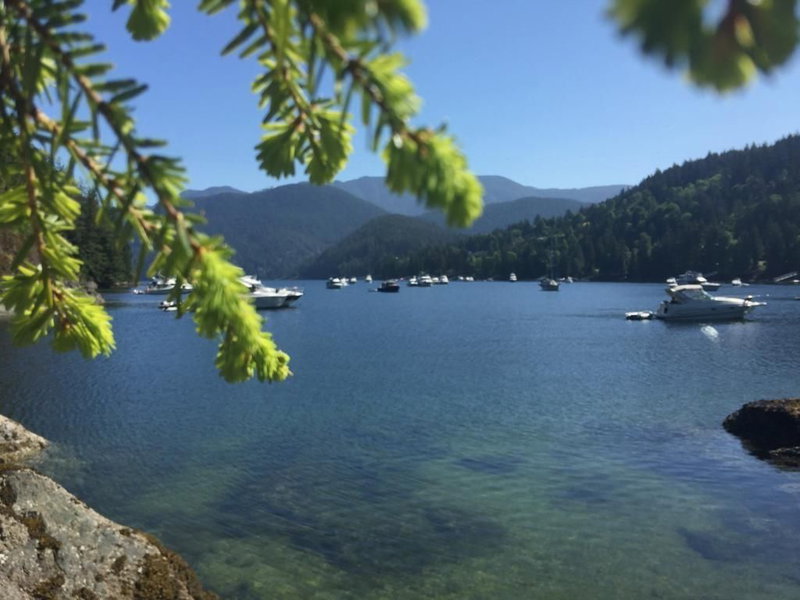 3626 Main Avenue, Belcarra, V3H 4P7 | Image 2