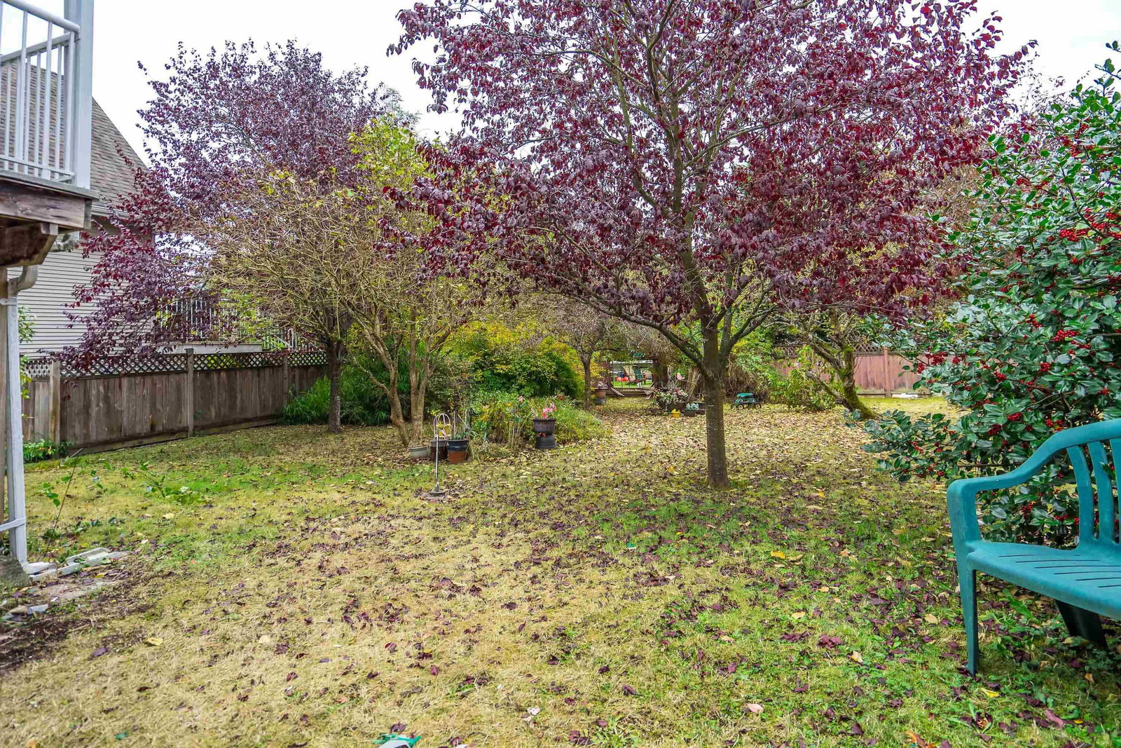 Listing Image 25