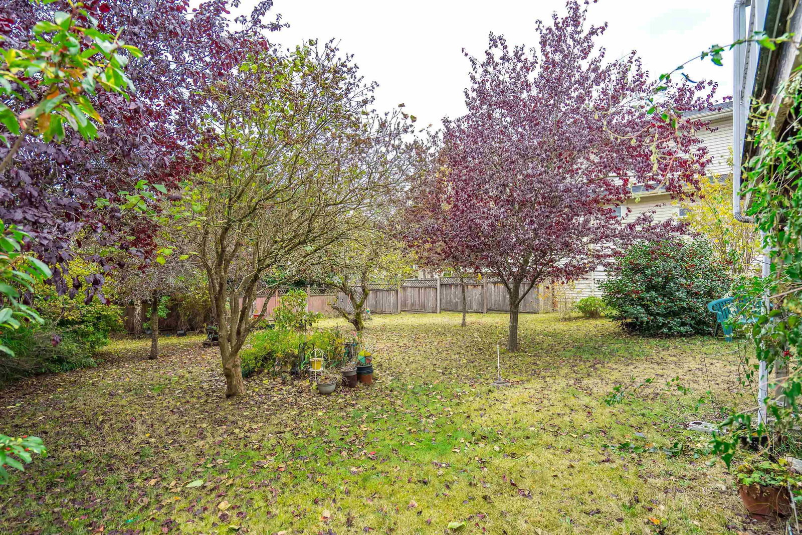 Listing Image 26