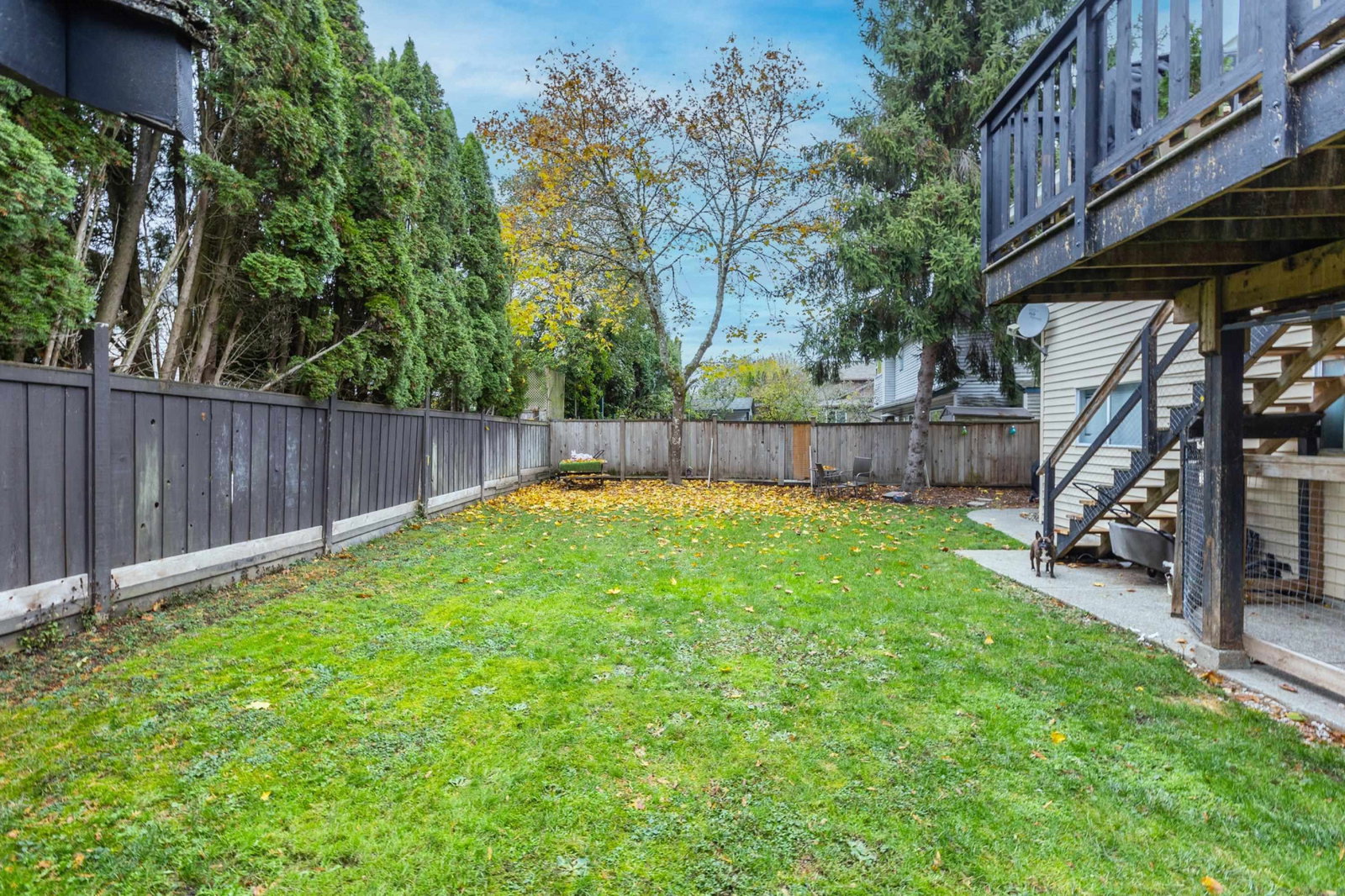 Listing Image 21