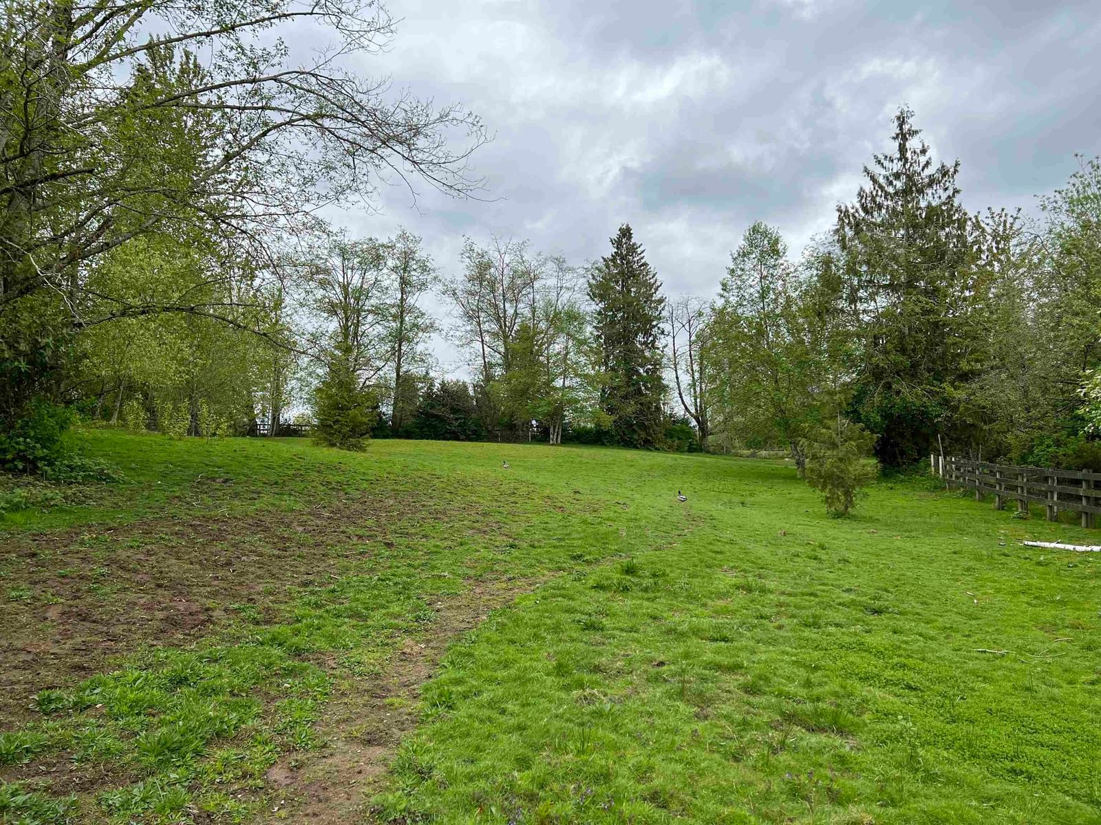 Listing Image 31