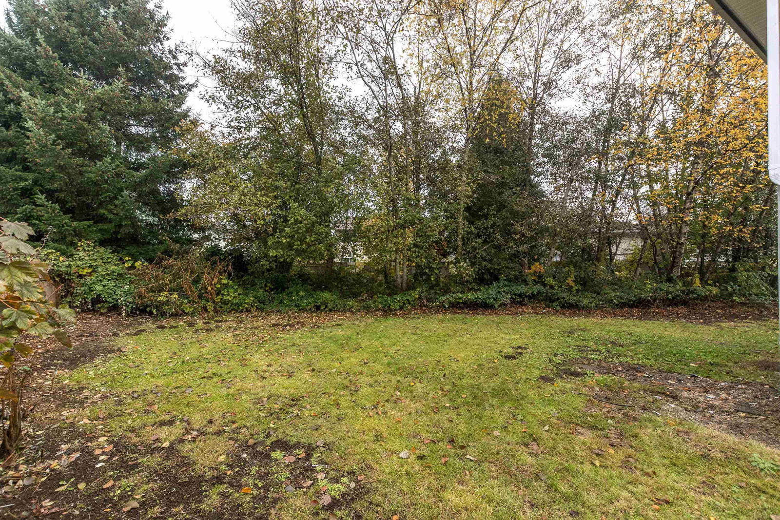 Listing Image 39