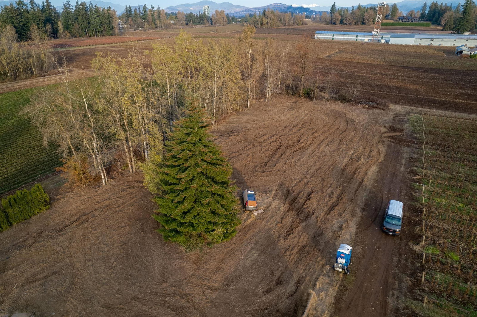 Listing Image 6