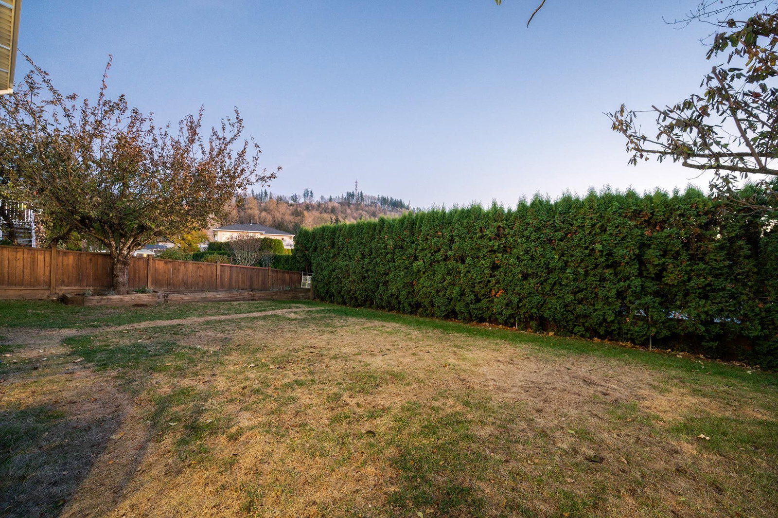 Listing Image 38