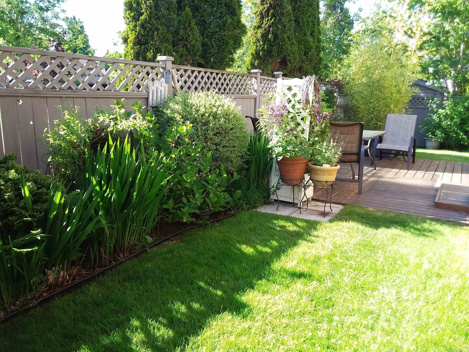 Listing Image 28