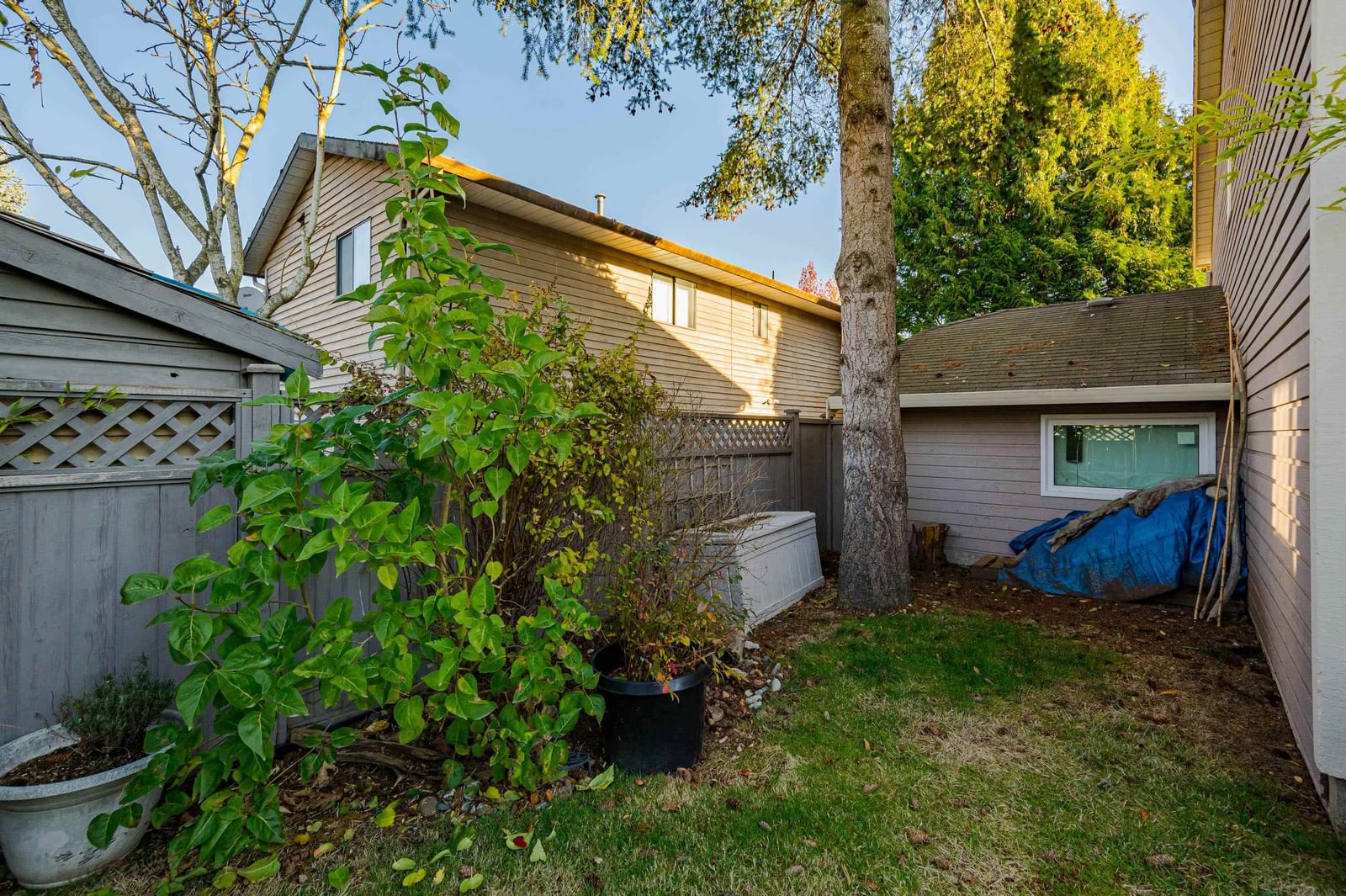 Listing Image 29
