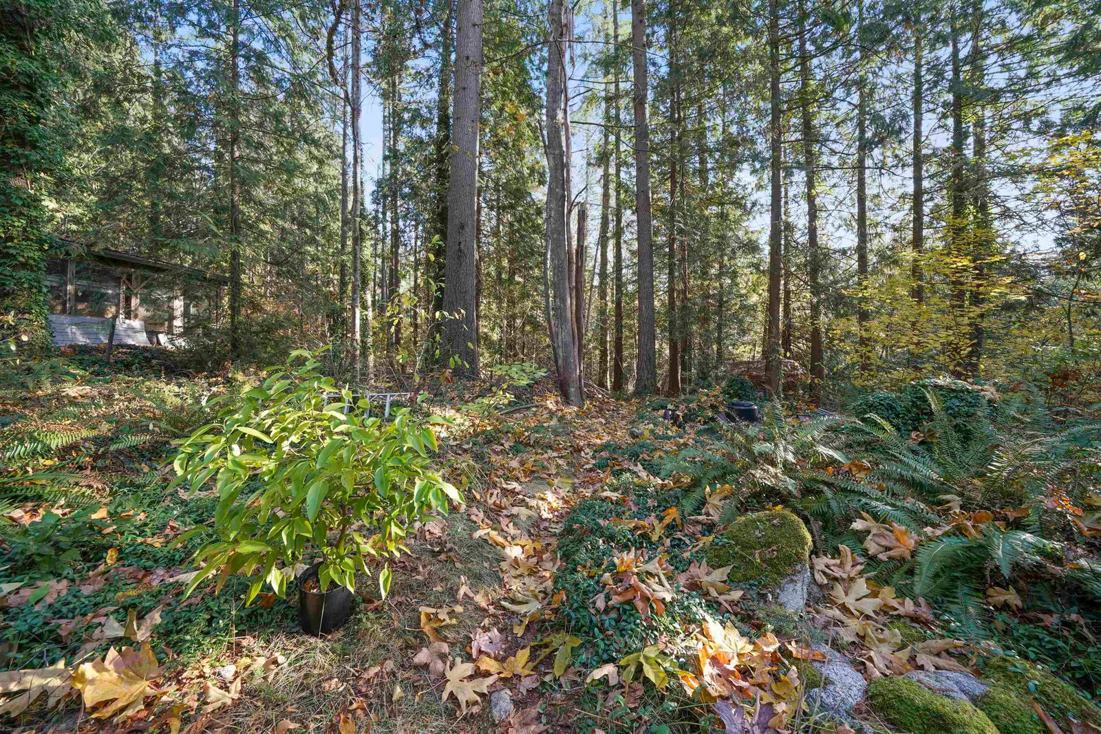 Listing Image 6