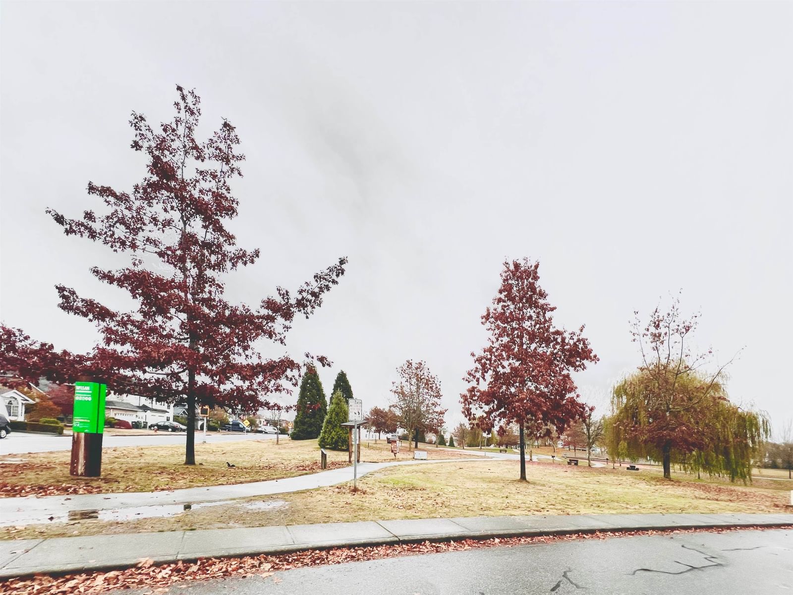 Listing Image 24