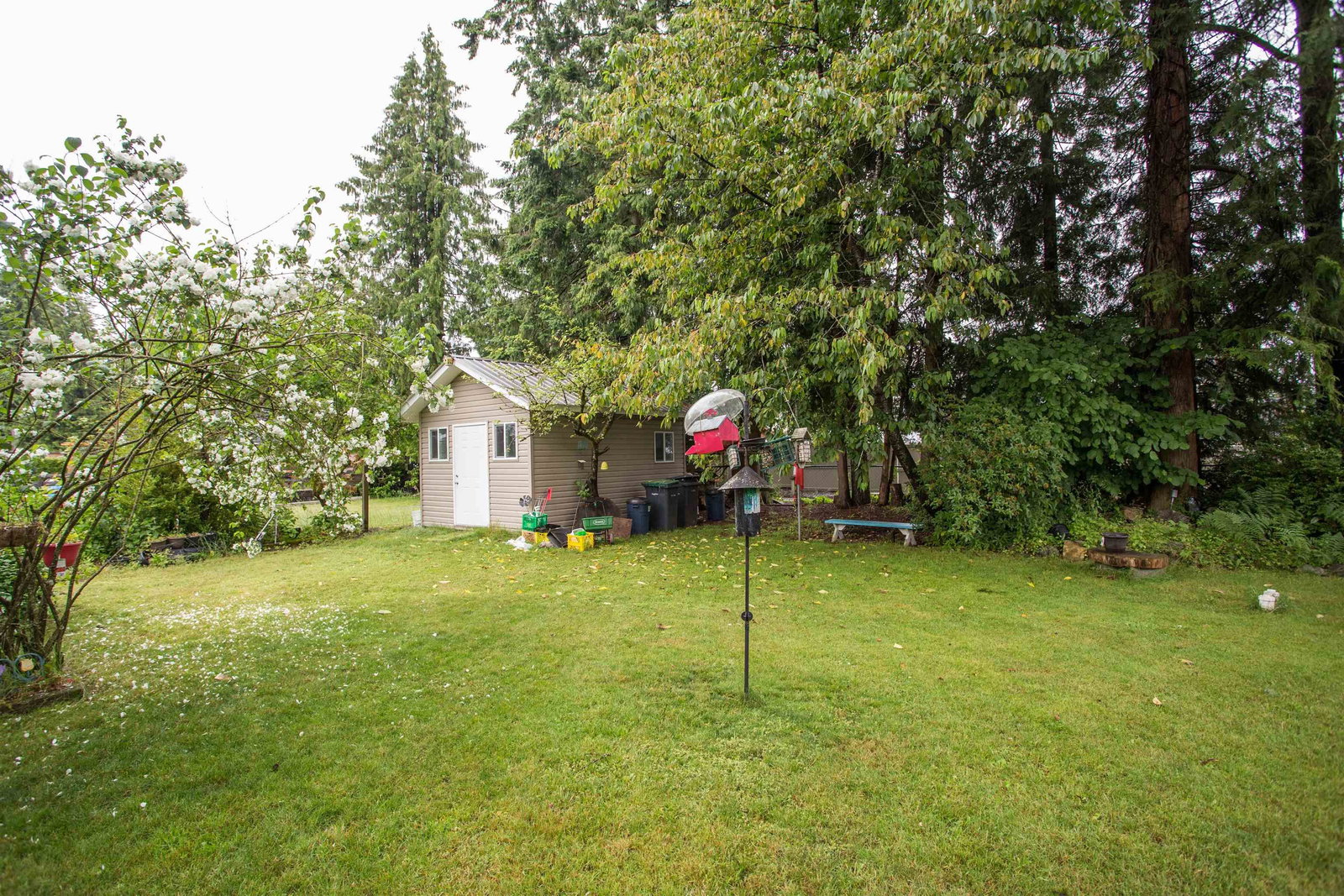 Listing Image 31
