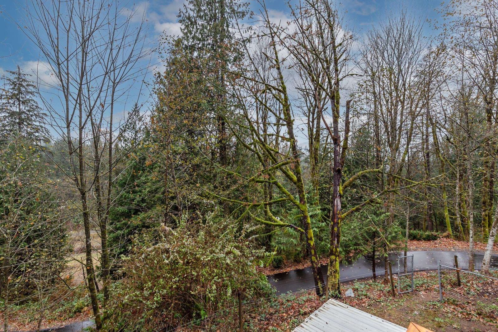 Listing Image 37
