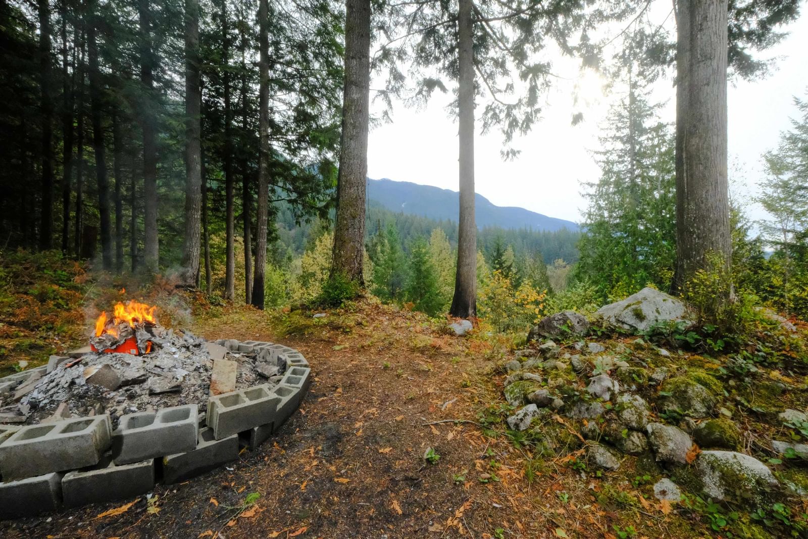 Listing Image 4