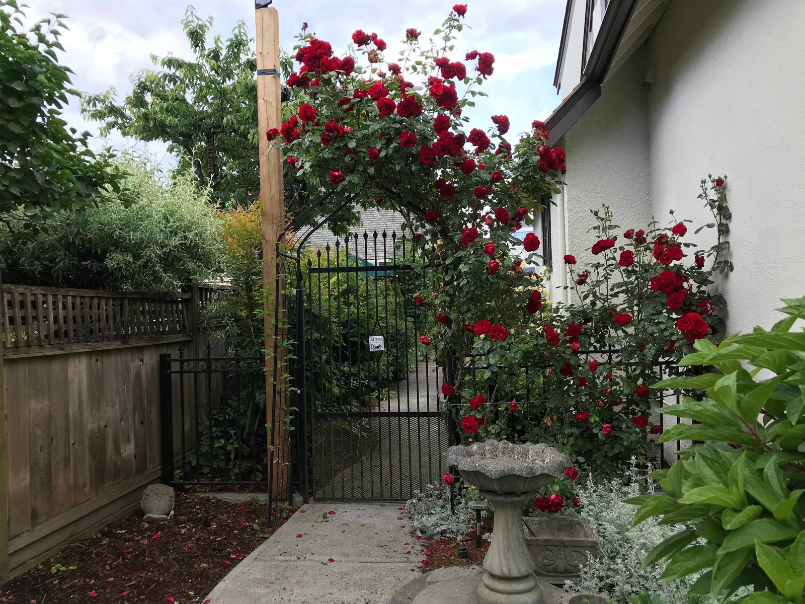 Listing Image 34