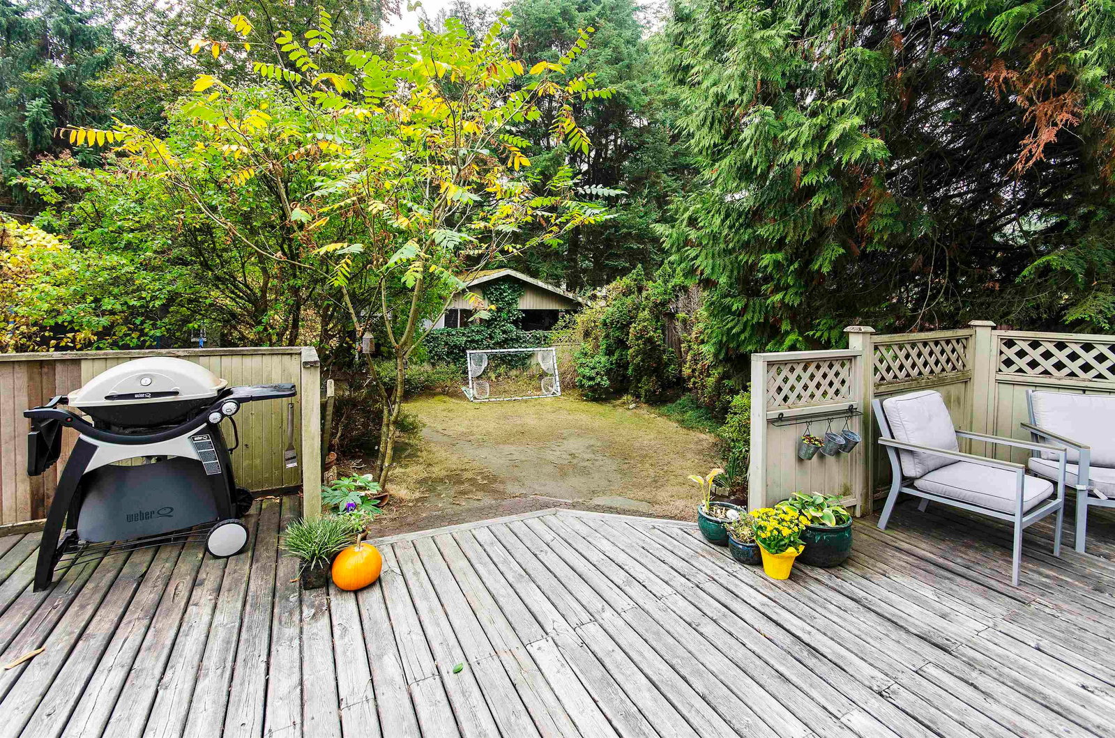 Listing Image 29