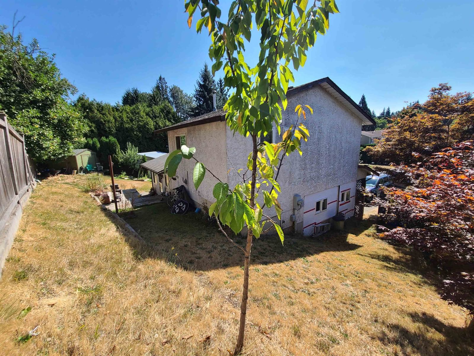 Listing Image 18