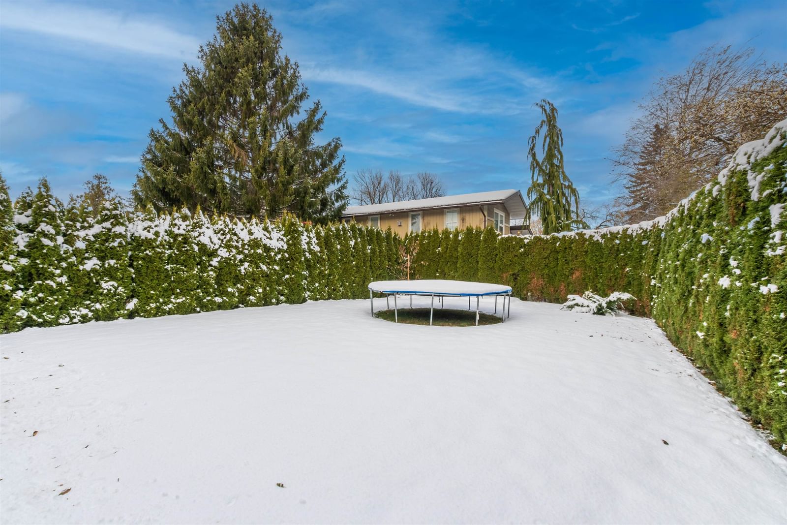 Listing Image 37