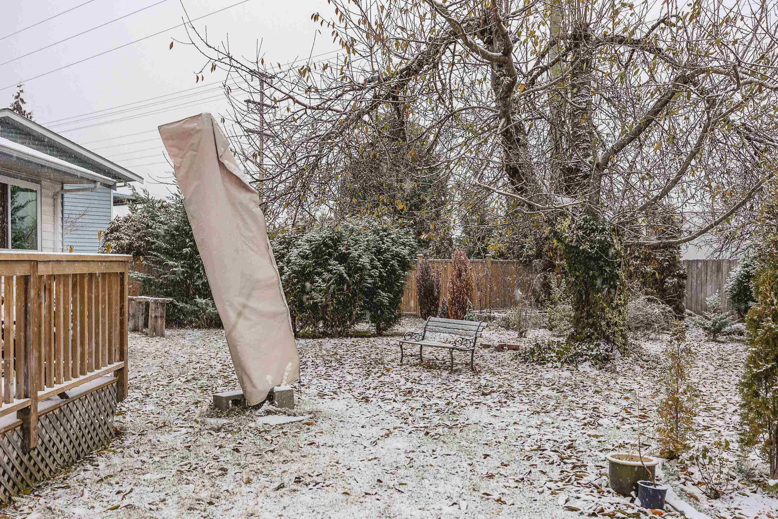 Listing Image 31