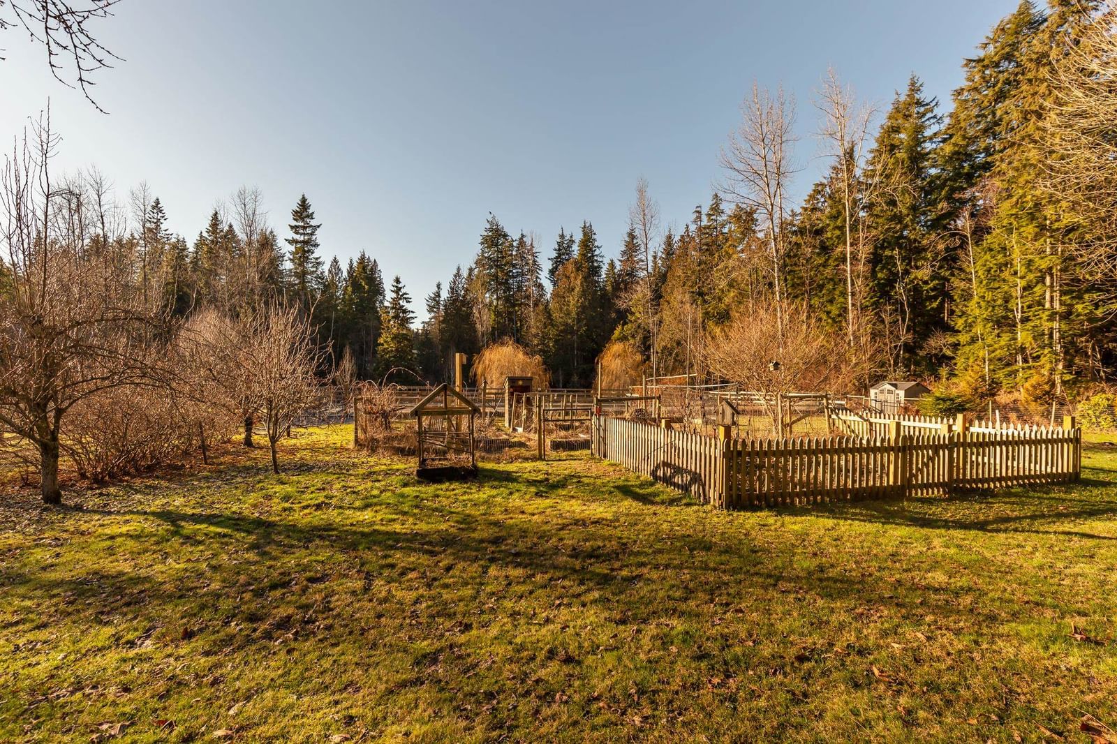 Listing Image 34