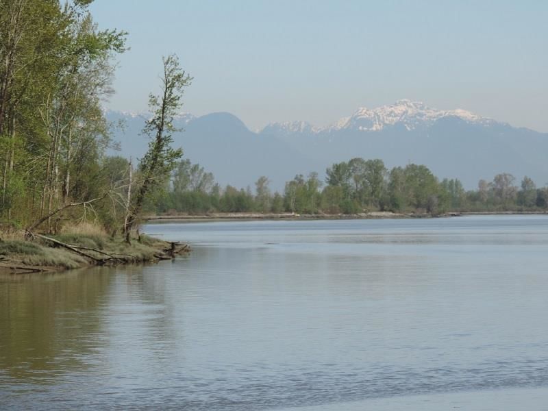 4515 River Road, Delta, V4K 1R9 | Image 2