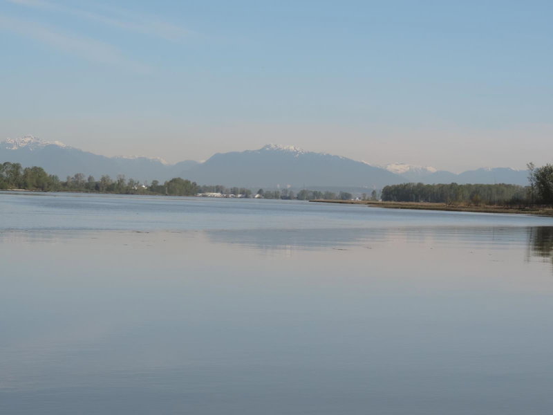 4515 River Road, Delta, V4K 1R9 | Image 3