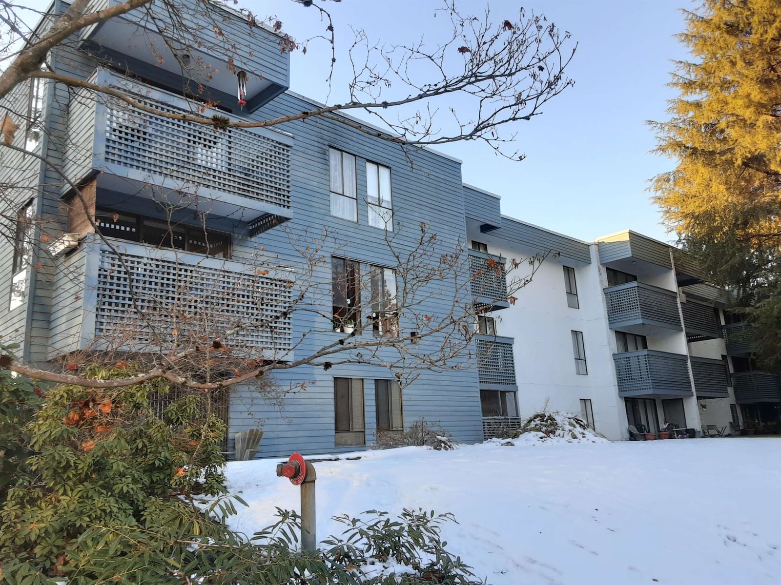 Listing Image 4