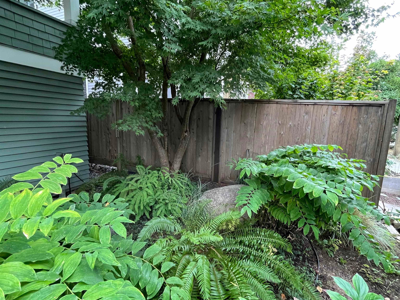 Listing Image 27