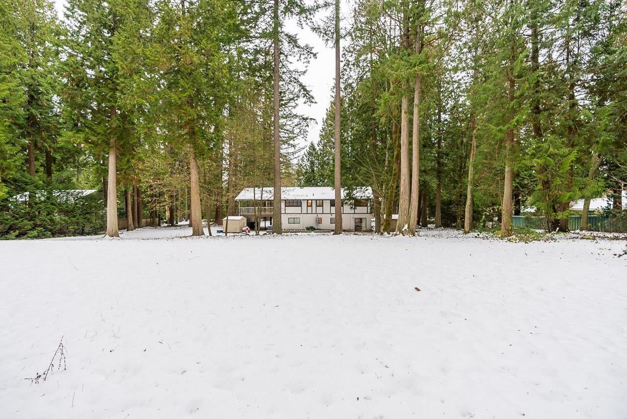 Listing Image 14