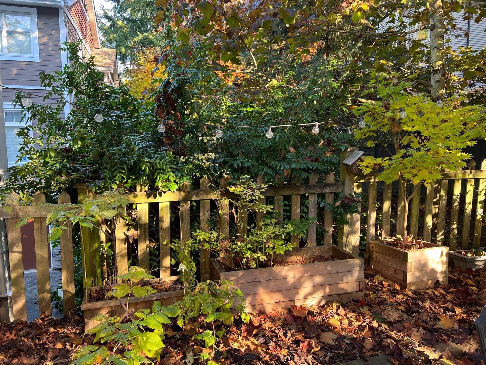 Listing Image 27