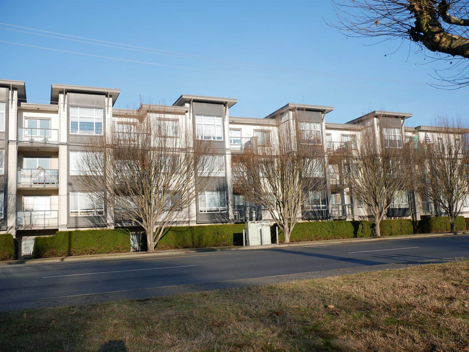 Listing Image 19