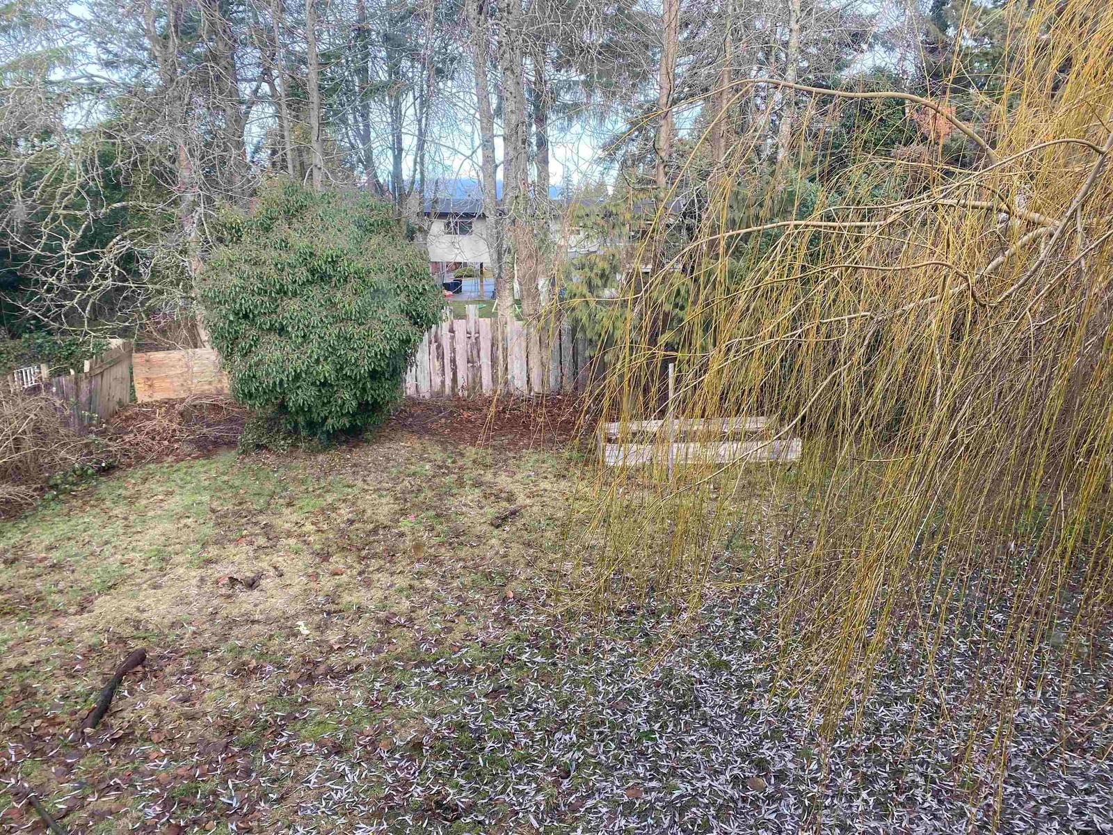 Listing Image 20
