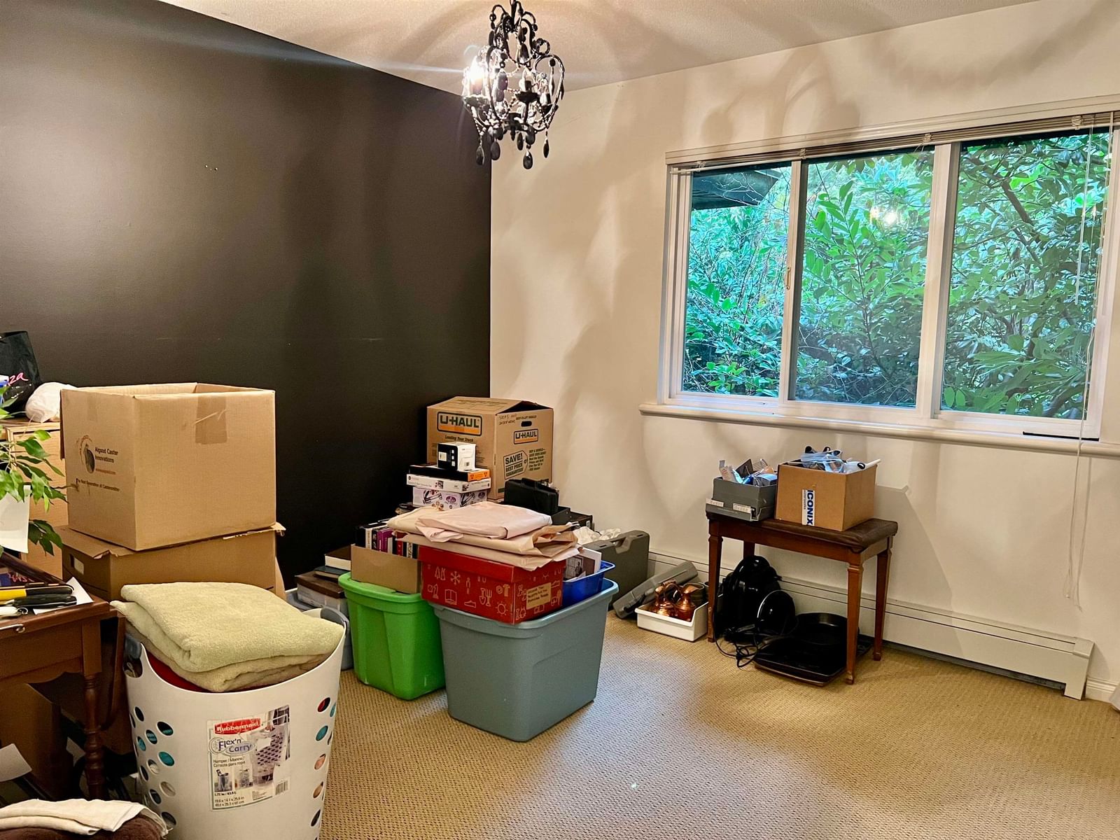 Listing Image 39