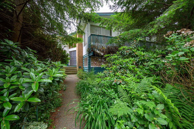 5650 Camino Court