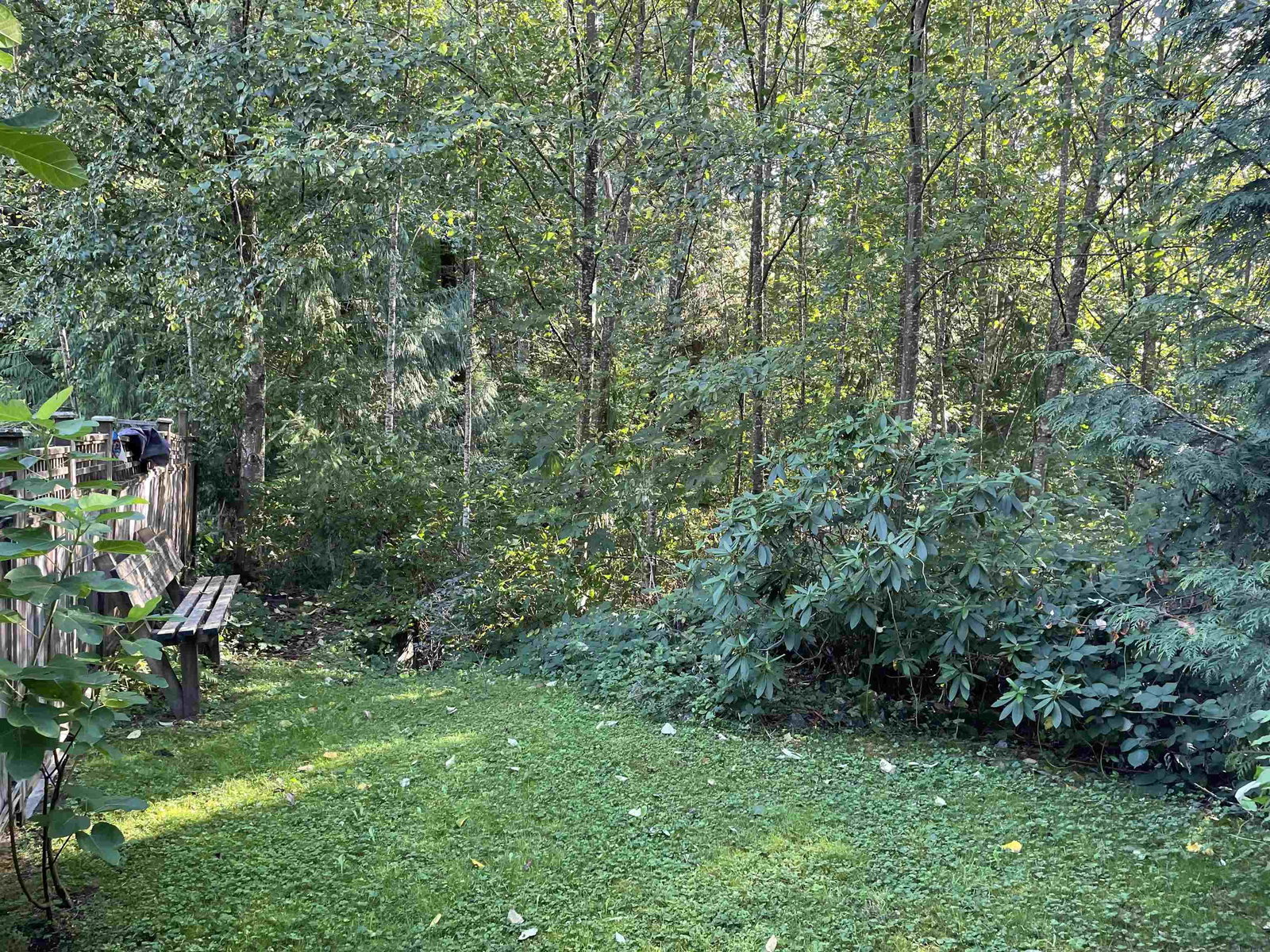 Listing Image 37