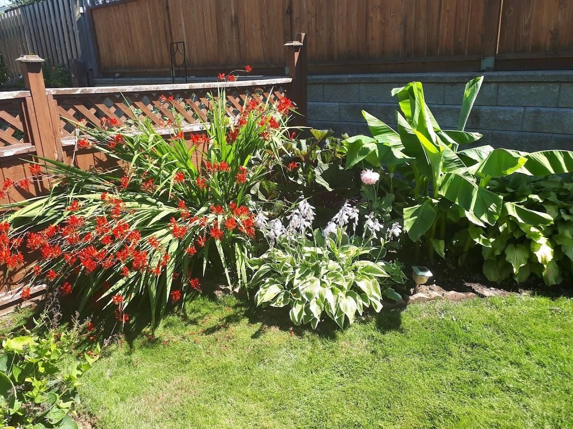 Listing Image 34