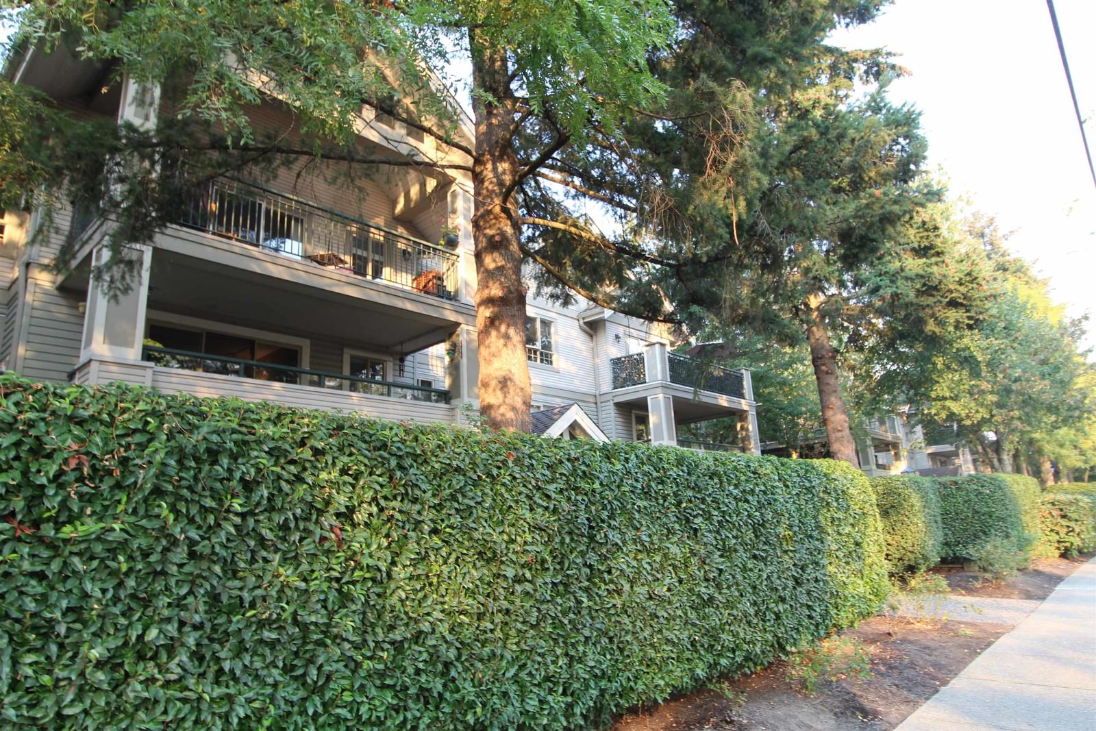 Listing Image 37