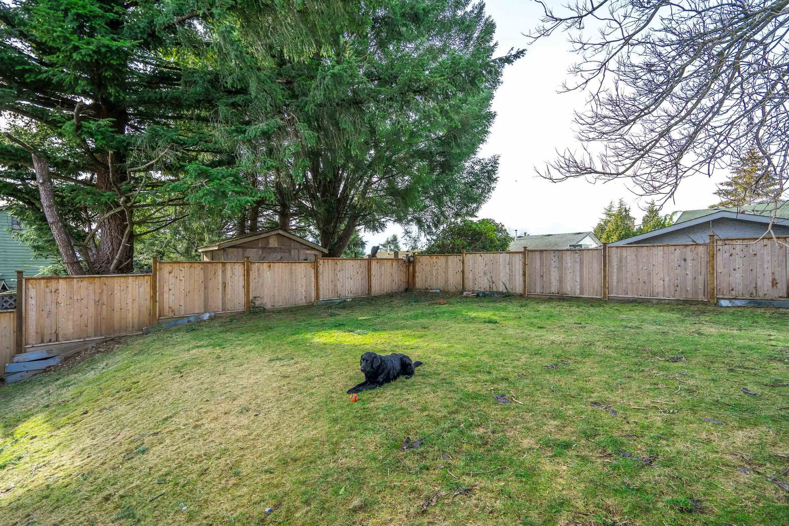 Listing Image 28