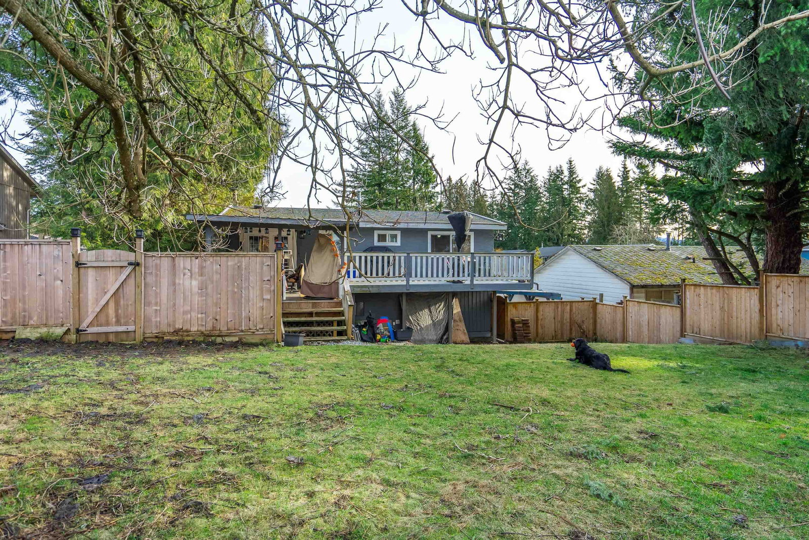 Listing Image 31