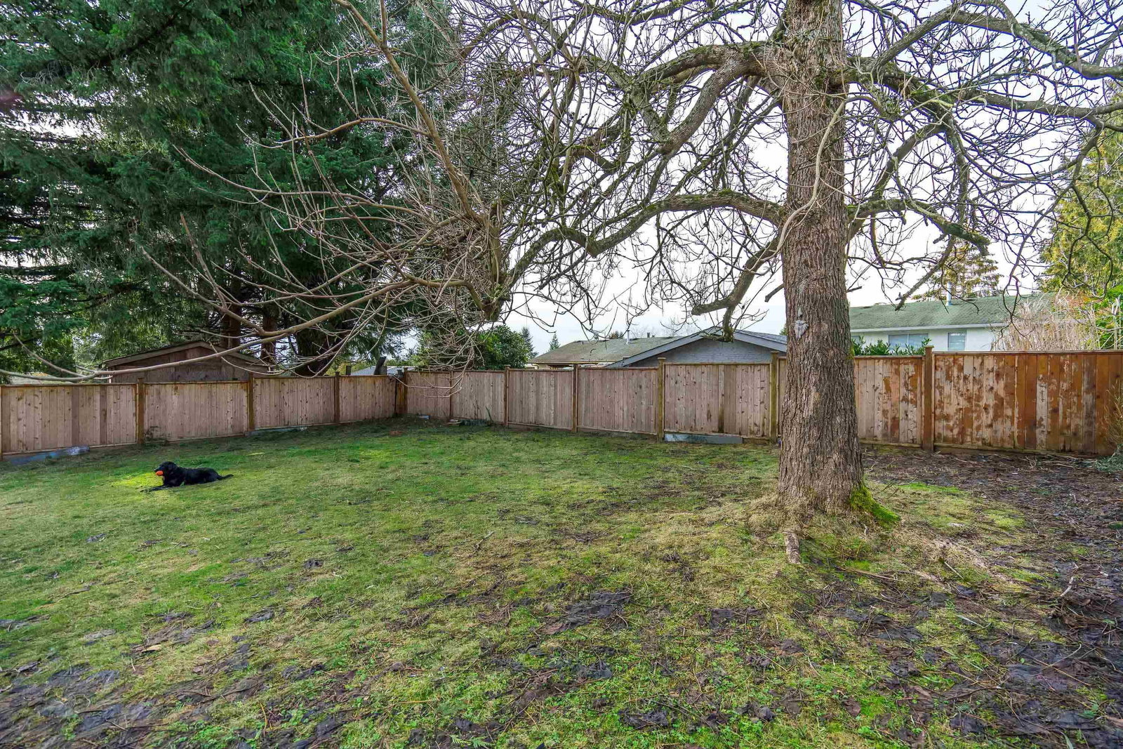 Listing Image 32