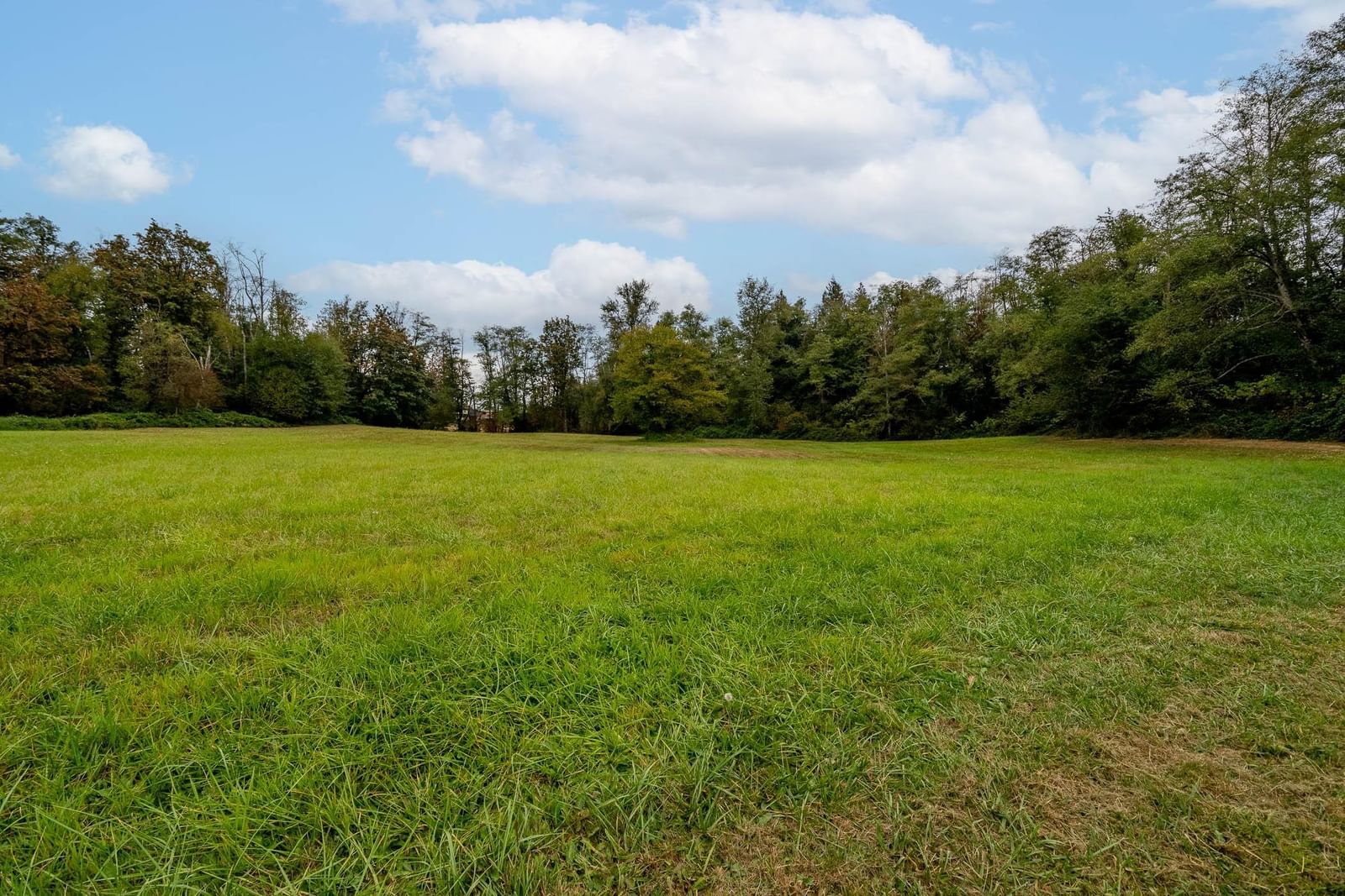 Listing Image 24