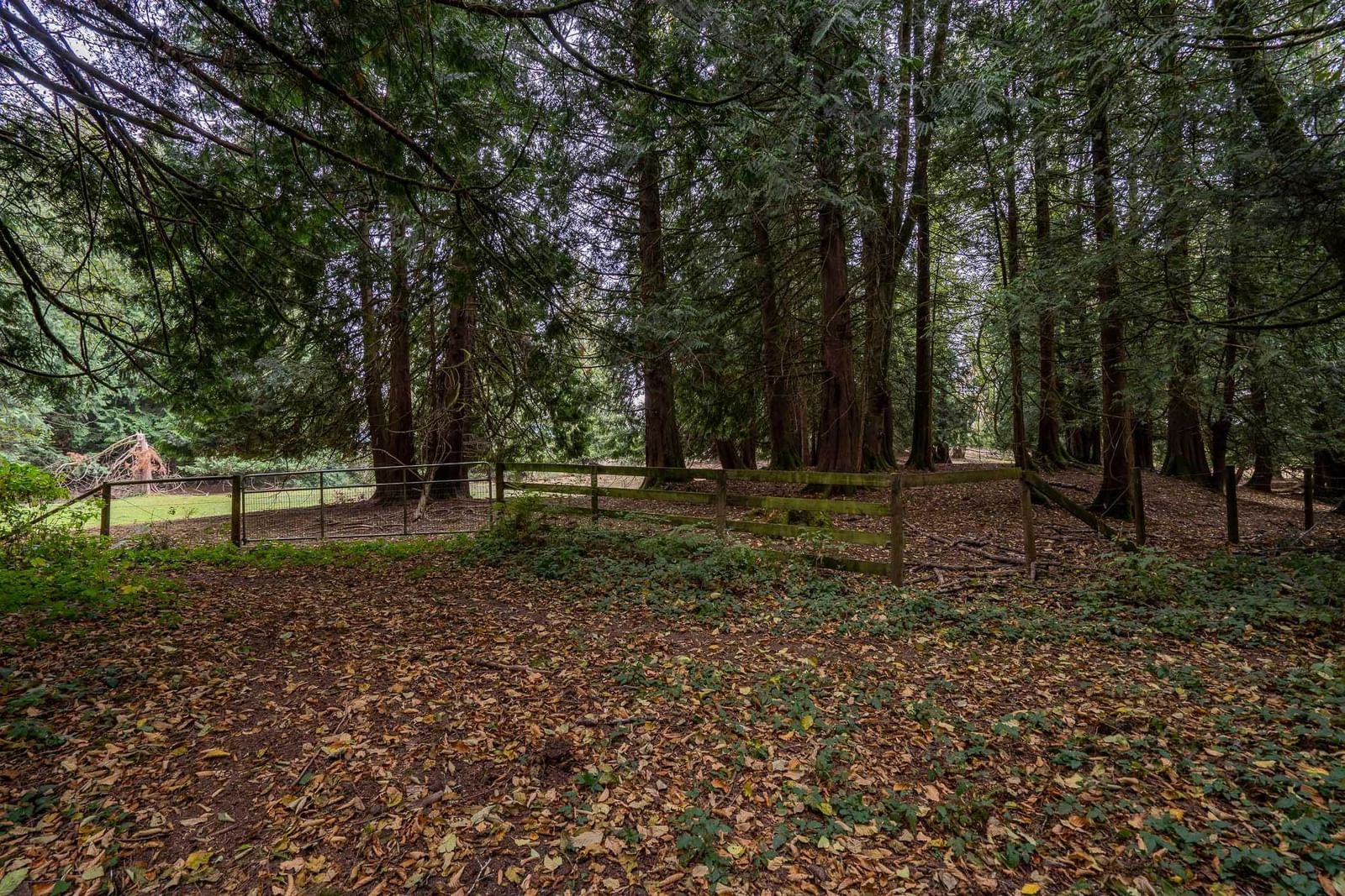 Listing Image 29