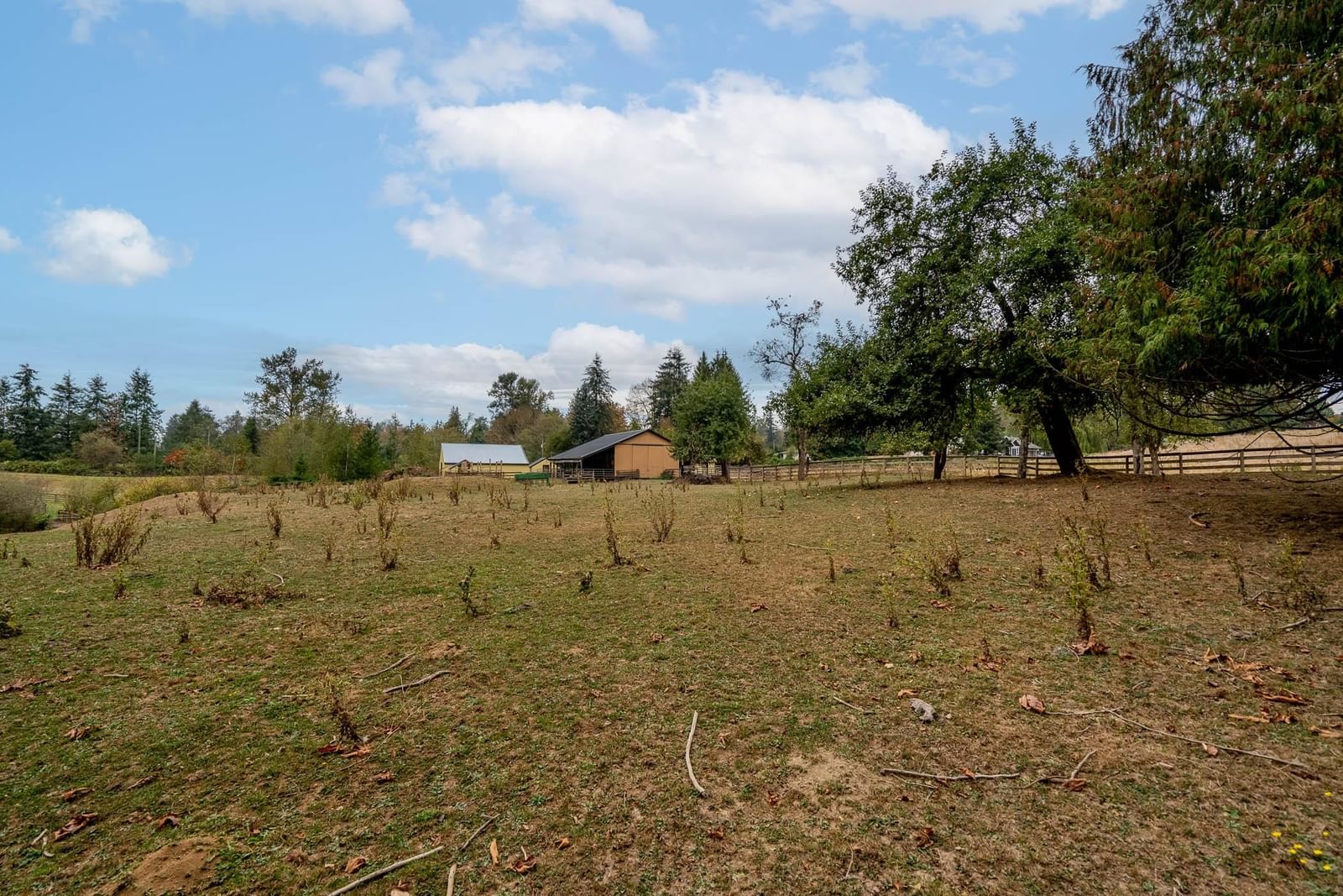 Listing Image 33