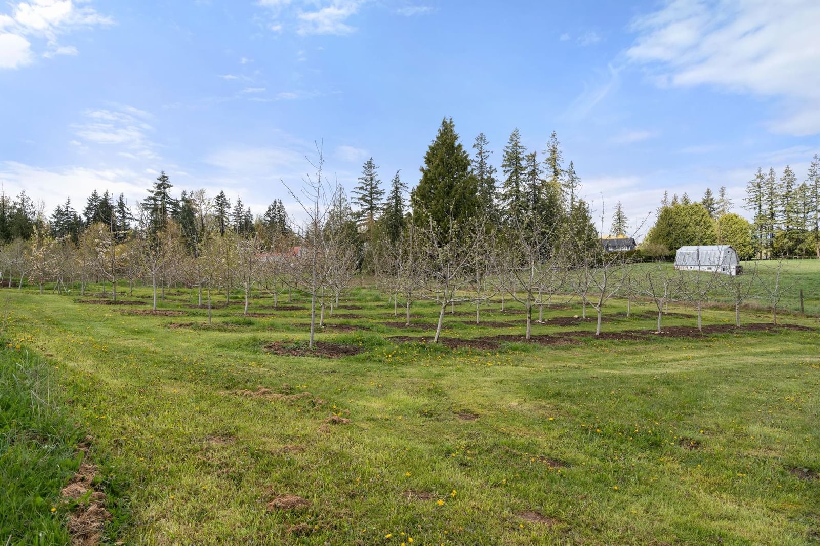 Listing Image 38
