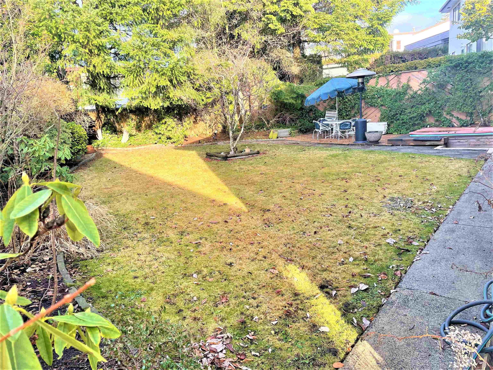 Listing Image 19