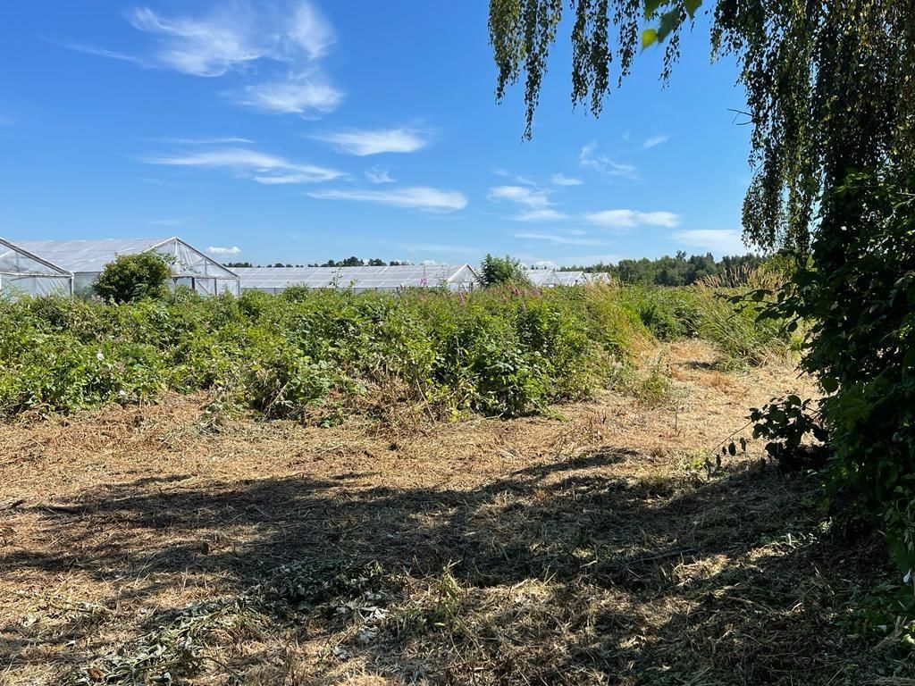 Listing Image 13