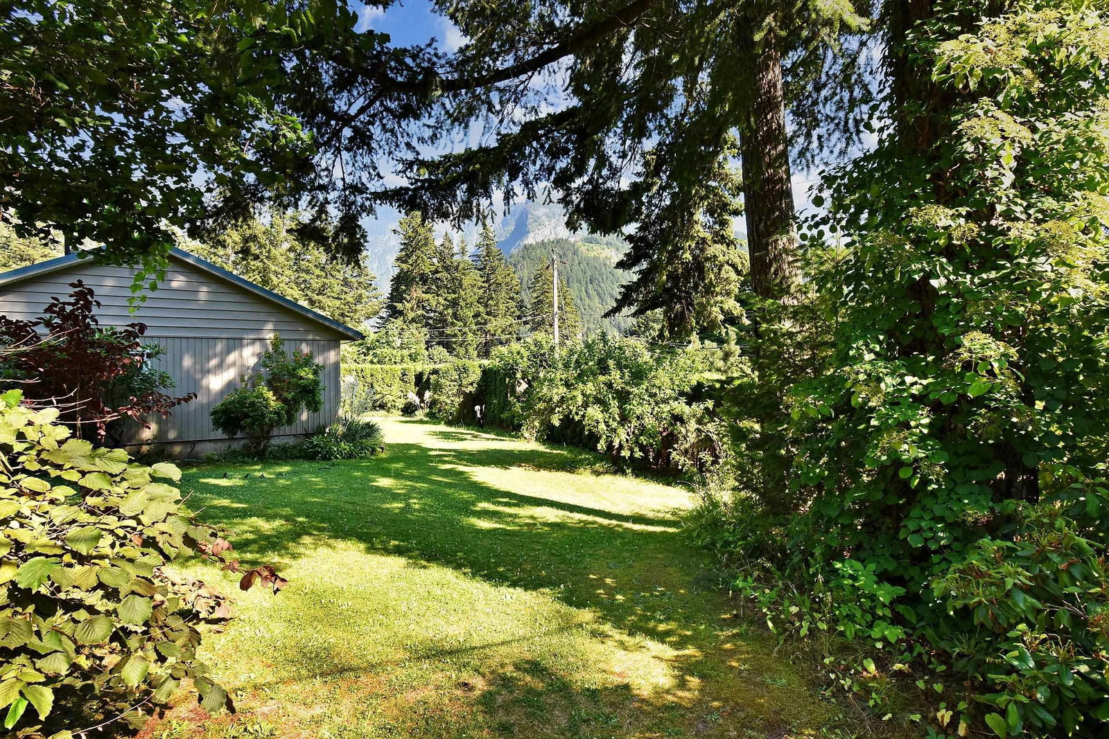 Listing Image 39