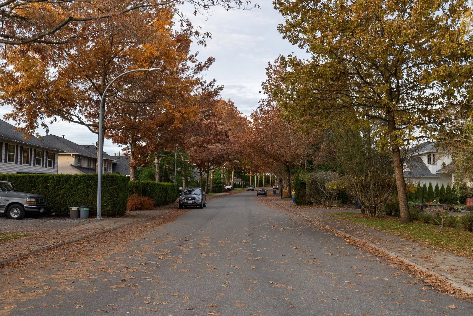 Listing Image 38